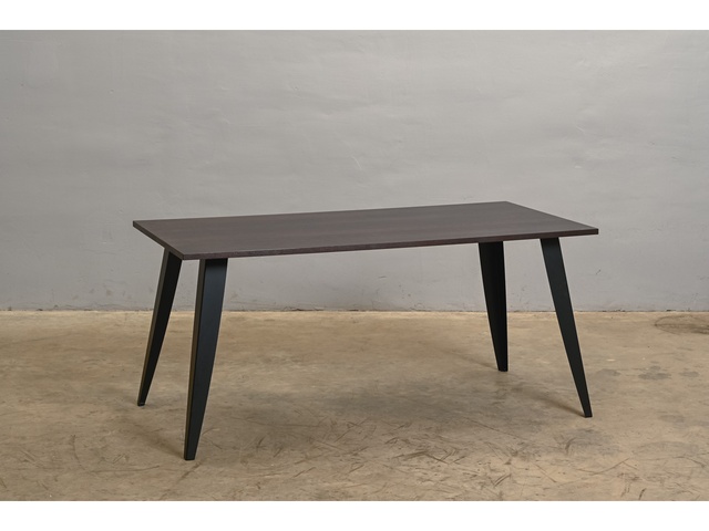 Galds 80x160cm 306301