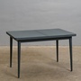 Izvelkams galds 360071