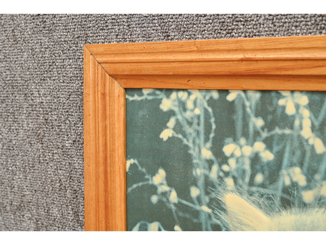 Glezna 72x53cm 860171