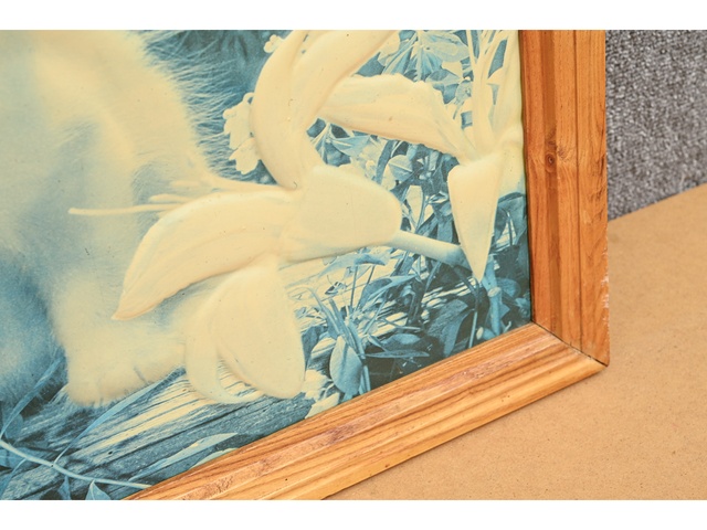 Glezna 72x53cm 860171