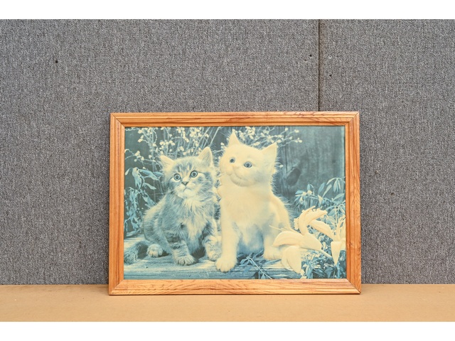 Glezna 72x53cm 860171