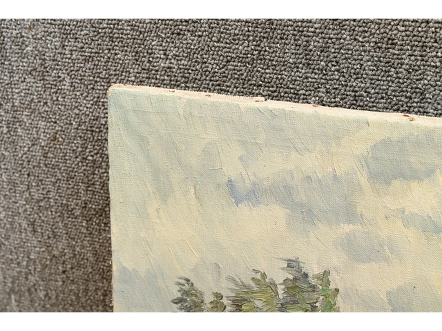 Glezna 54x45cm 860172