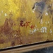 Glezna 56x75cm 803097