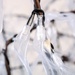 LED vītols 910001